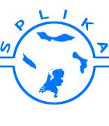 logo Splika